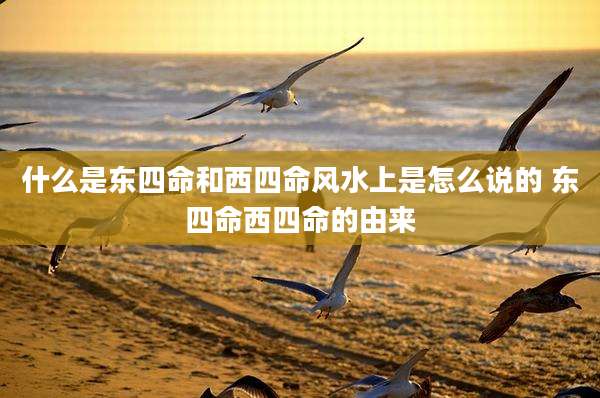 什么是东四命和西四命风水上是怎么说的 东四命西四命的由来