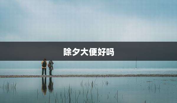 除夕大便好吗