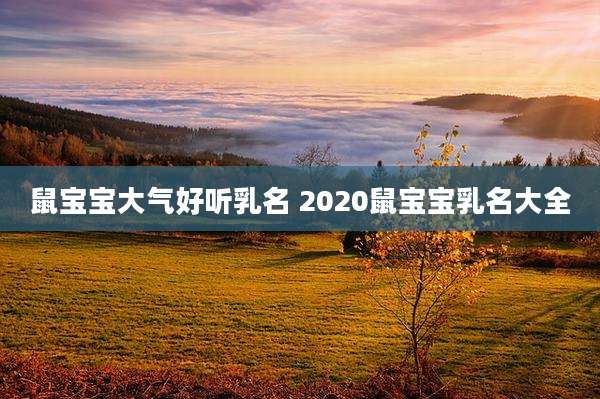 鼠宝宝大气好听乳名 2020鼠宝宝乳名大全