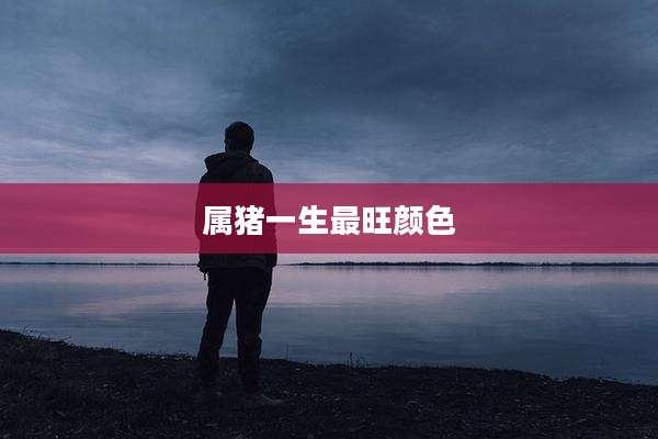 属猪一生最旺颜色