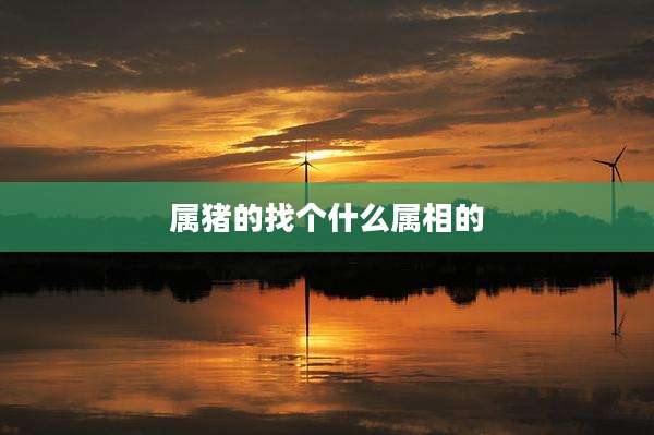 属猪的找个什么属相的