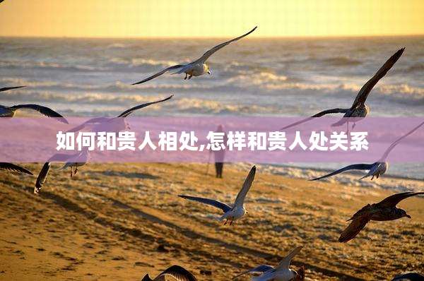 如何和贵人相处,怎样和贵人处关系