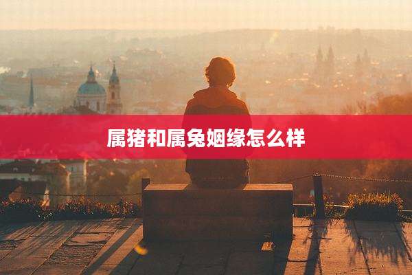 属猪和属兔姻缘怎么样