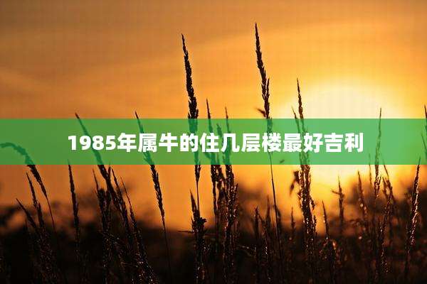 1985年属牛的住几层楼最好吉利