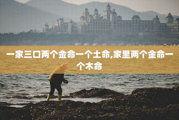 一家三口两个金命一个土命,家里两个金命一个木命
