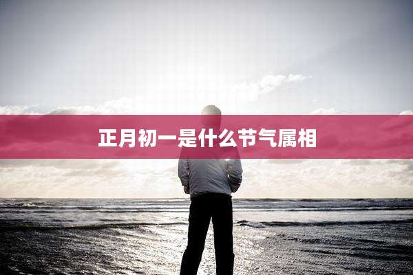 正月初一是什么节气属相