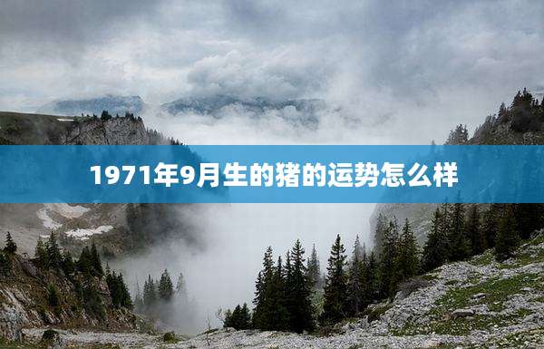 1971年9月生的猪的运势怎么样
