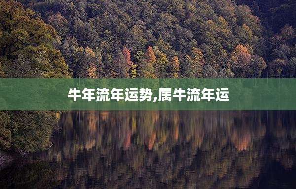 牛年流年运势,属牛流年运