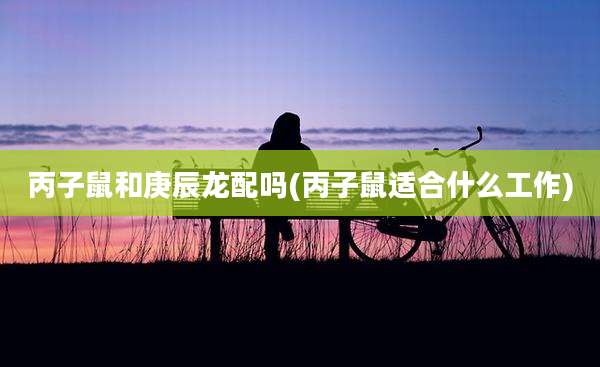 丙子鼠和庚辰龙配吗(丙子鼠适合什么工作)