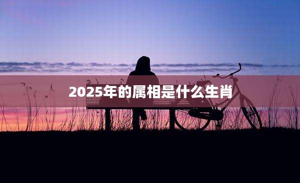 2025年的属相是什么生肖