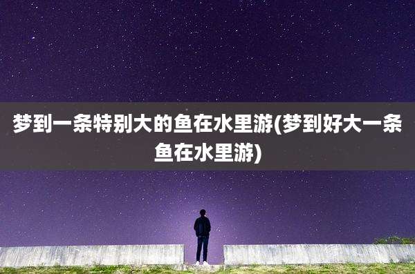 梦到一条特别大的鱼在水里游(梦到好大一条鱼在水里游)