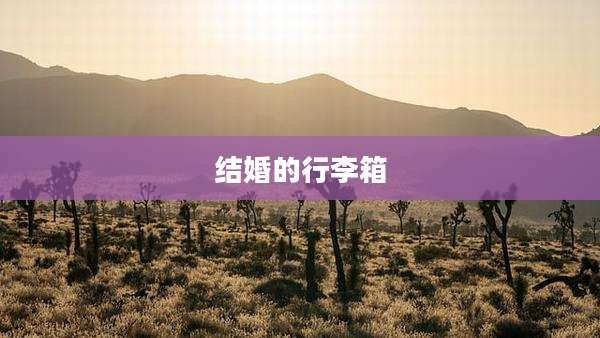 结婚的行李箱