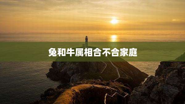 兔和牛属相合不合家庭