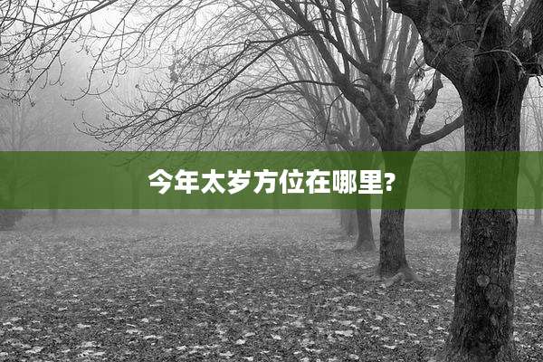 今年太岁方位在哪里?