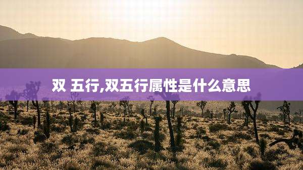 双 五行,双五行属性是什么意思