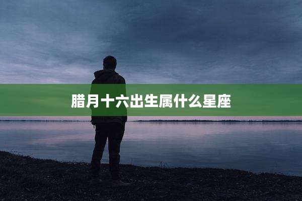 腊月十六出生属什么星座