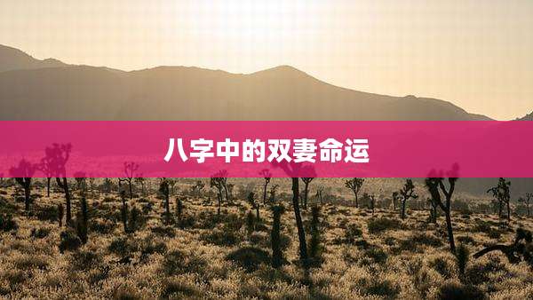 八字中的双妻命运