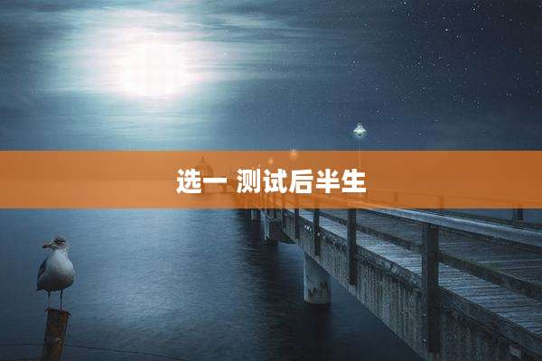 选一 测试后半生