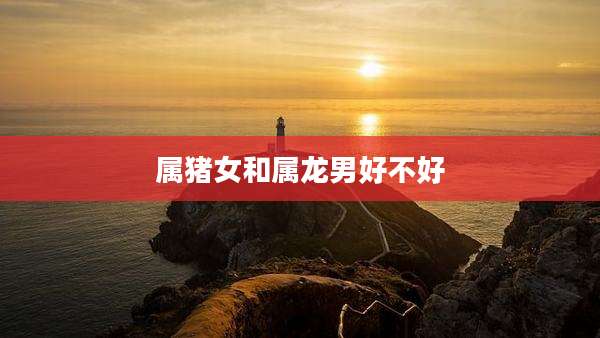 属猪女和属龙男好不好