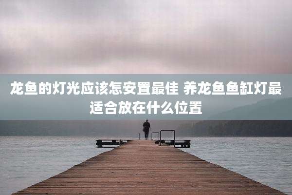 龙鱼的灯光应该怎安置最佳 养龙鱼鱼缸灯最适合放在什么位置