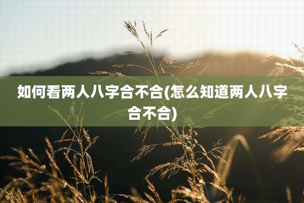 如何看两人八字合不合(怎么知道两人八字合不合)