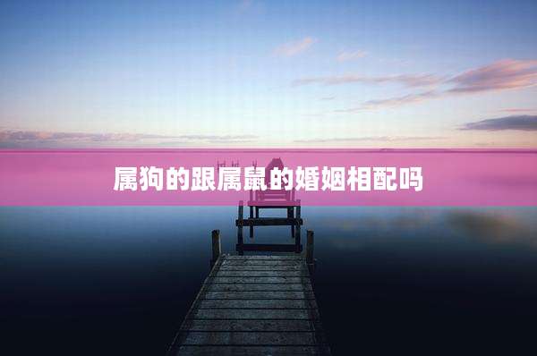 属狗的跟属鼠的婚姻相配吗