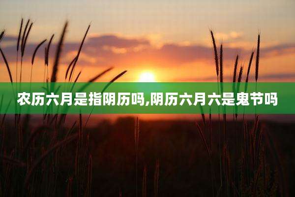 农历六月是指阴历吗,阴历六月六是鬼节吗