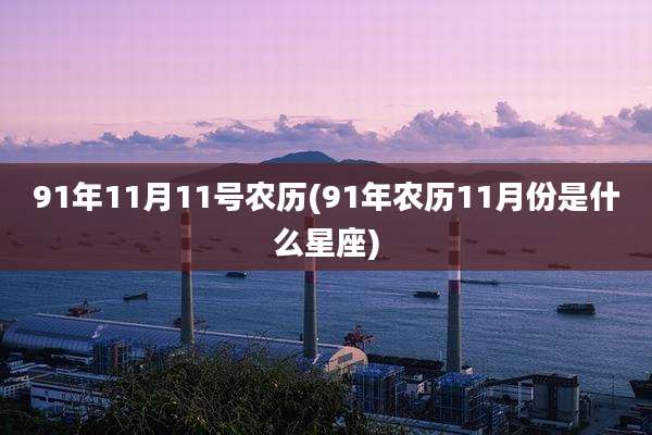 91年11月11号农历(91年农历11月份是什么星座)