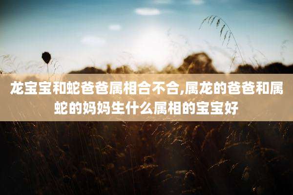 龙宝宝和蛇爸爸属相合不合,属龙的爸爸和属蛇的妈妈生什么属相的宝宝好