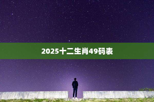 2025十二生肖49码表