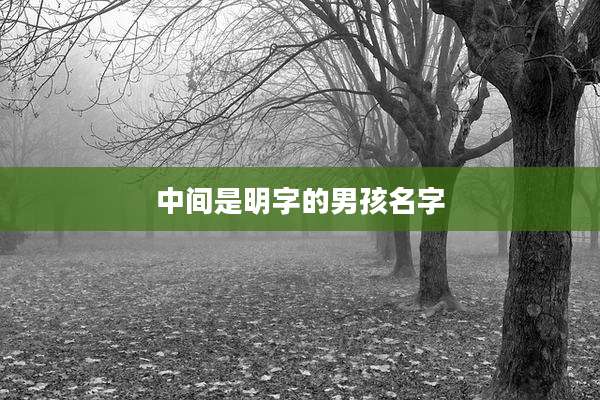 中间是明字的男孩名字