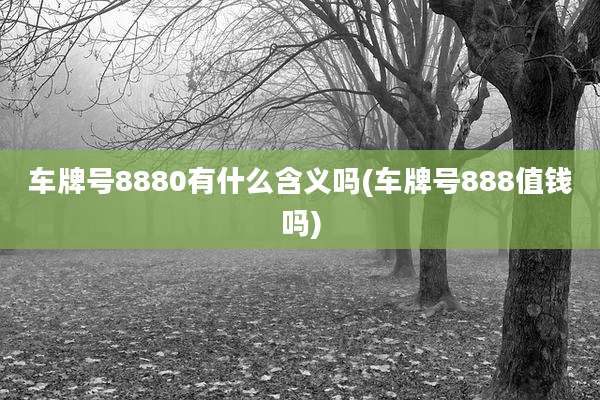 车牌号8880有什么含义吗(车牌号888值钱吗)