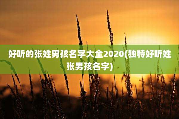 好听的张姓男孩名字大全2020(独特好听姓张男孩名字)