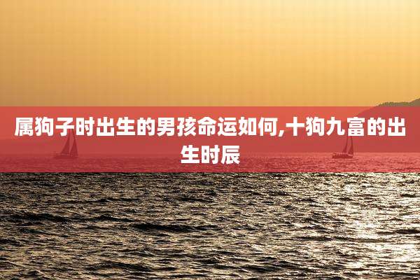 属狗子时出生的男孩命运如何,十狗九富的出生时辰