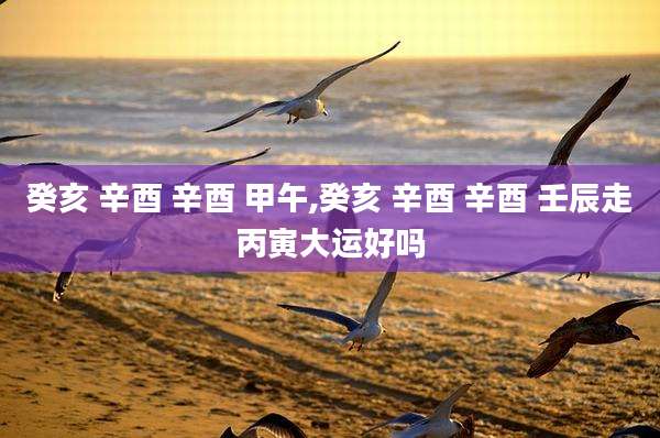 癸亥 辛酉 辛酉 甲午,癸亥 辛酉 辛酉 壬辰走丙寅大运好吗