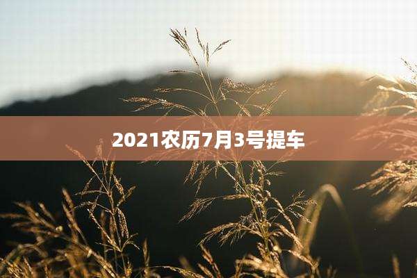 2021农历7月3号提车