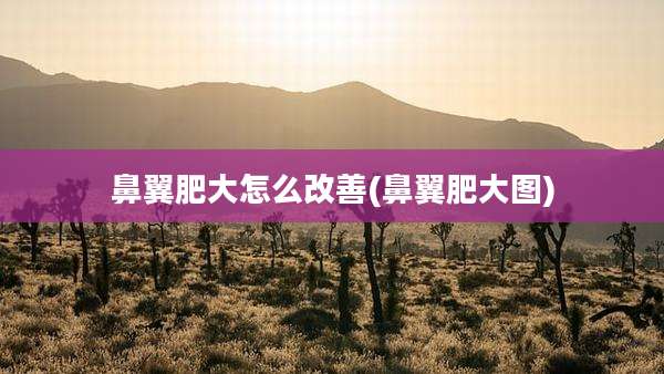 鼻翼肥大怎么改善(鼻翼肥大图)