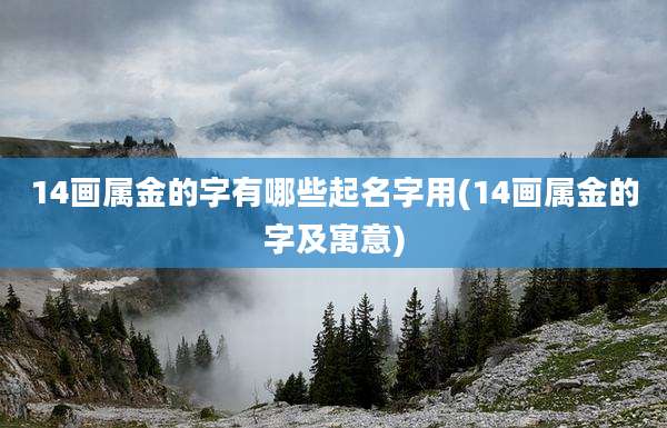 14画属金的字有哪些起名字用(14画属金的字及寓意)
