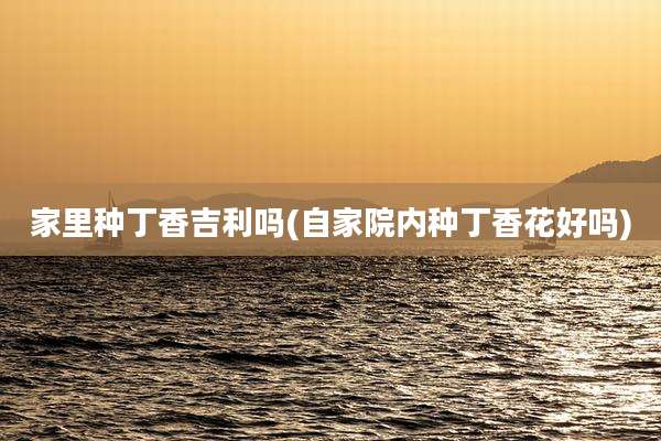 家里种丁香吉利吗(自家院内种丁香花好吗)
