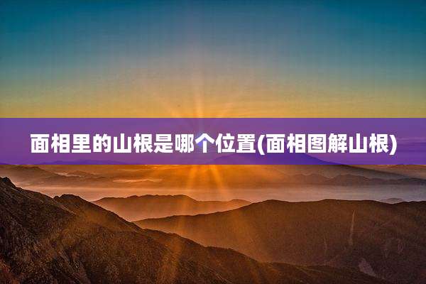 面相里的山根是哪个位置(面相图解山根)