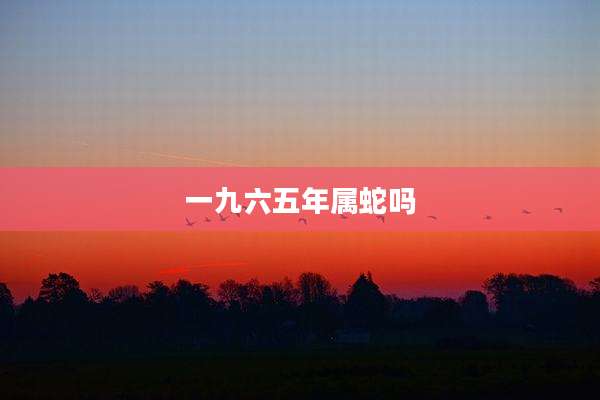 一九六五年属蛇吗