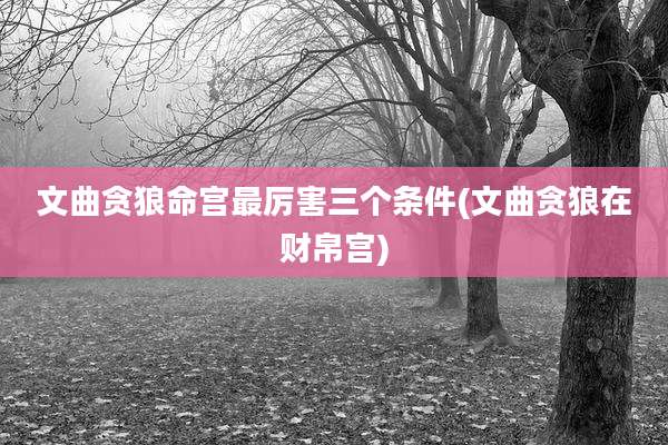 文曲贪狼命宫最厉害三个条件(文曲贪狼在财帛宫)