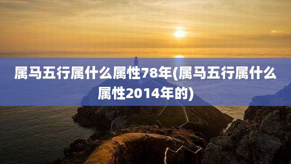 属马五行属什么属性78年(属马五行属什么属性2014年的)