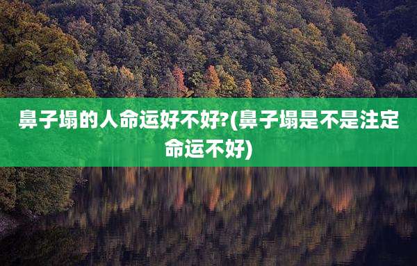鼻子塌的人命运好不好?(鼻子塌是不是注定命运不好)