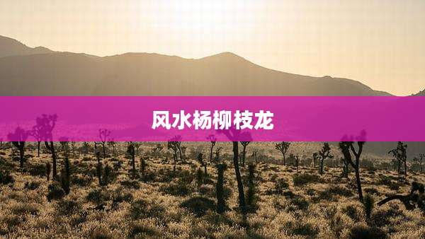 风水杨柳枝龙