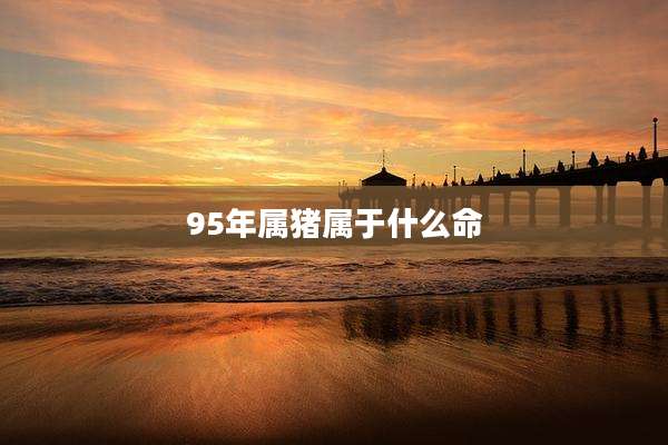 95年属猪属于什么命