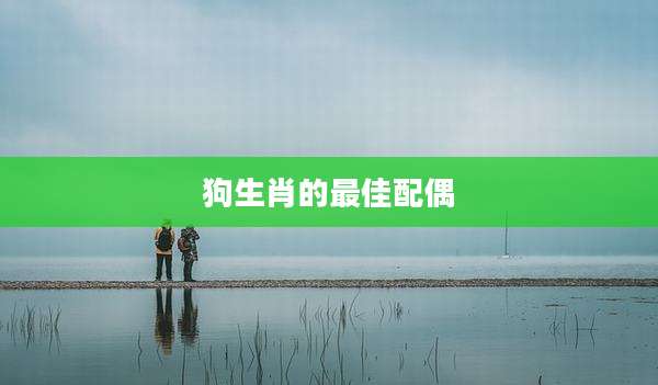 狗生肖的最佳配偶