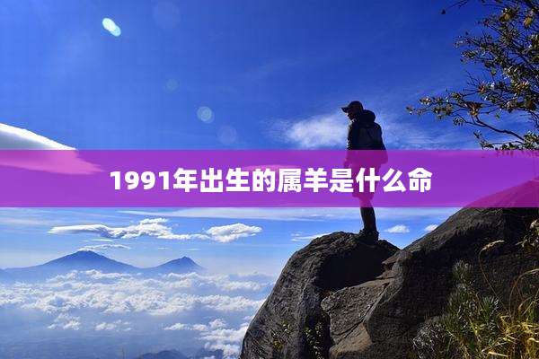 1991年出生的属羊是什么命