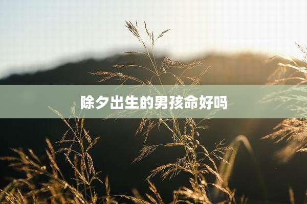 除夕出生的男孩命好吗