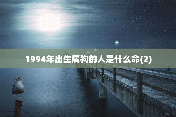 1994年出生属狗的人是什么命(2)